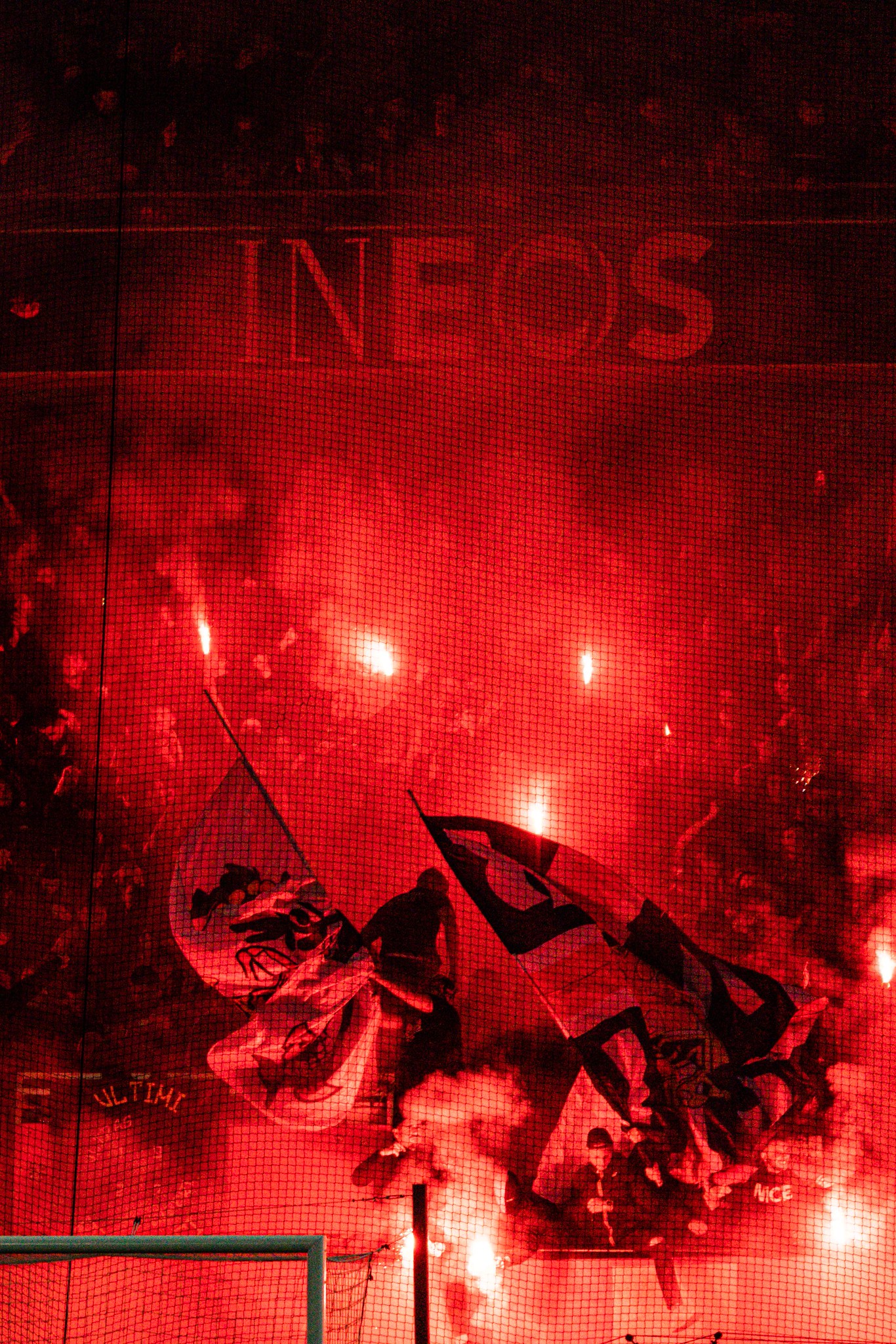 OGC Nice — photo 9